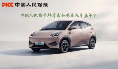 人保携手东和鸿盛！11月17日蚌埠购车嘉年华即将开启